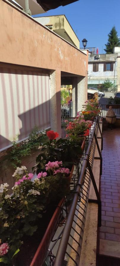 רומא Elisa E Carla House Beautiful Apartments On The Cassia מראה חיצוני תמונה