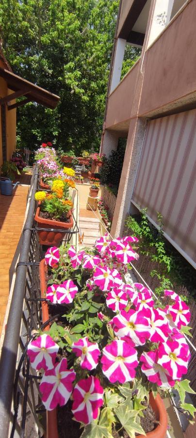 רומא Elisa E Carla House Beautiful Apartments On The Cassia מראה חיצוני תמונה